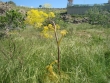 http://www.sapphoestate.com/images/listing_photos/224_dsc03058.jpg