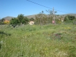 http://www.sapphoestate.com/images/listing_photos/224_dsc03070.jpg