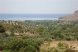 http://www.sapphoestate.com/images/listing_photos/230_dsc04220.jpg