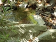http://www.sapphoestate.com/images/listing_photos/233_dsc01749.jpg