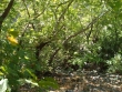 http://www.sapphoestate.com/images/listing_photos/233_dsc01754.jpg