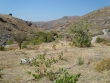 http://www.sapphoestate.com/images/listing_photos/233_dsc01786.jpg