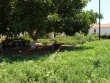http://www.sapphoestate.com/images/listing_photos/234_dsc02895.jpg