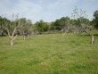 http://www.sapphoestate.com/images/listing_photos/23_dsc01424.jpg