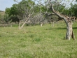 http://www.sapphoestate.com/images/listing_photos/23_dsc01429.jpg