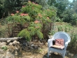 http://www.sapphoestate.com/images/listing_photos/252_dsc09130.jpg