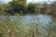 http://www.sapphoestate.com/images/listing_photos/259_dsc04915.jpg