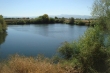 http://www.sapphoestate.com/images/listing_photos/259_dsc04920.jpg