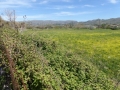 http://www.sapphoestate.com/images/listing_photos/275_P1010135.jpg