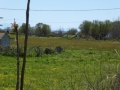 http://www.sapphoestate.com/images/listing_photos/275_P1010140.jpg