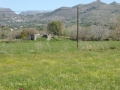 http://www.sapphoestate.com/images/listing_photos/275_P1010144.jpg