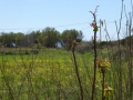 http://www.sapphoestate.com/images/listing_photos/275_P1010145.jpg