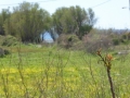 http://www.sapphoestate.com/images/listing_photos/275_P1010146.jpg
