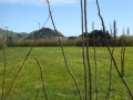 http://www.sapphoestate.com/images/listing_photos/275_P1010148.jpg