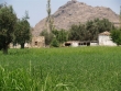 http://www.sapphoestate.com/images/listing_photos/27_kam0005_2.jpg