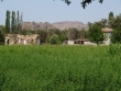 http://www.sapphoestate.com/images/listing_photos/27_kam0005_3.jpg