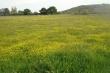 http://www.sapphoestate.com/images/listing_photos/283_dsc00035.jpg