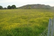 http://www.sapphoestate.com/images/listing_photos/283_dsc00037.jpg