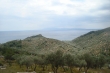 http://www.sapphoestate.com/images/listing_photos/291_dsc00299.jpg