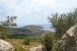 http://www.sapphoestate.com/images/listing_photos/291_dsc00302.jpg