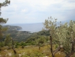 http://www.sapphoestate.com/images/listing_photos/291_dsc00304.jpg