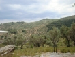 http://www.sapphoestate.com/images/listing_photos/291_dsc00314.jpg