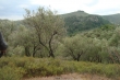 http://www.sapphoestate.com/images/listing_photos/291_dsc00318.jpg