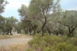 http://www.sapphoestate.com/images/listing_photos/291_dsc00328.jpg