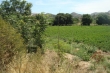 http://www.sapphoestate.com/images/listing_photos/300_dsc00452.jpg