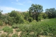 http://www.sapphoestate.com/images/listing_photos/300_dsc00456.jpg