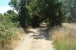 http://www.sapphoestate.com/images/listing_photos/300_dsc00457.jpg