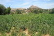 http://www.sapphoestate.com/images/listing_photos/300_dsc00461.jpg