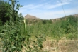 http://www.sapphoestate.com/images/listing_photos/300_dsc00466.jpg