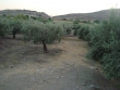 http://www.sapphoestate.com/images/listing_photos/314_dsc02419.jpg