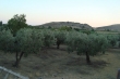 http://www.sapphoestate.com/images/listing_photos/314_dsc02421.jpg