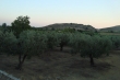 http://www.sapphoestate.com/images/listing_photos/314_dsc02423.jpg