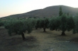http://www.sapphoestate.com/images/listing_photos/314_dsc02424.jpg
