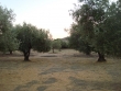 http://www.sapphoestate.com/images/listing_photos/314_dsc02429.jpg