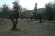 http://www.sapphoestate.com/images/listing_photos/314_dsc02434.jpg