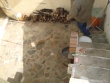 http://www.sapphoestate.com/images/listing_photos/322_dsc03564.jpg