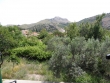 http://www.sapphoestate.com/images/listing_photos/324_p1000132.jpg