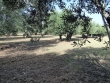 http://www.sapphoestate.com/images/listing_photos/330_p10002522.jpg