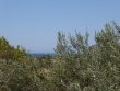 http://www.sapphoestate.com/images/listing_photos/332_p1000588.jpg