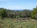 http://www.sapphoestate.com/images/listing_photos/340_P1010111.jpg