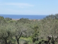 http://www.sapphoestate.com/images/listing_photos/340_P1010112.jpg