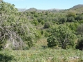 http://www.sapphoestate.com/images/listing_photos/340_P1010118.jpg