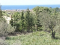 http://www.sapphoestate.com/images/listing_photos/340_P1010120.jpg