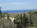 http://www.sapphoestate.com/images/listing_photos/340_P1010121.jpg