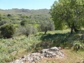 http://www.sapphoestate.com/images/listing_photos/340_P1010125.jpg