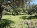 http://www.sapphoestate.com/images/listing_photos/342_P1010080.jpg